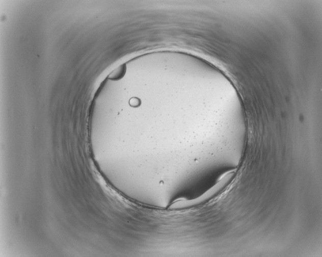 X0000070401534200607072231