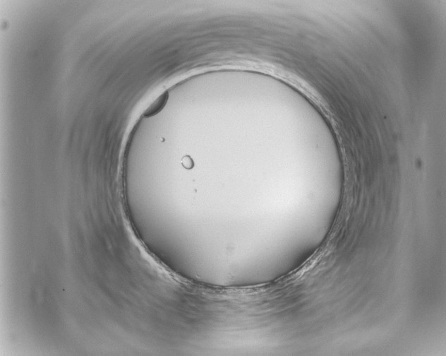 X0000070401536200607072231