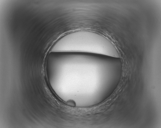 X0000070410002200606091007