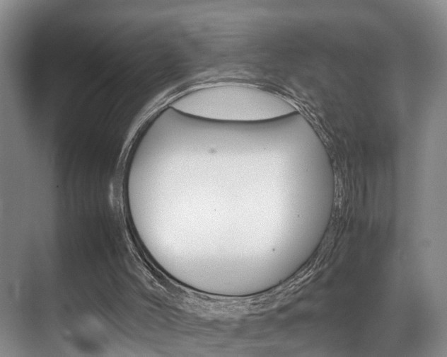 X0000070410004200606091007