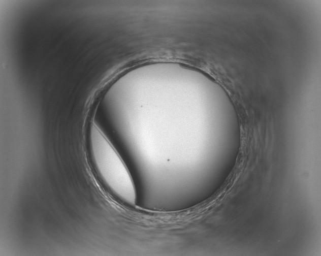 X0000070410005200606091007