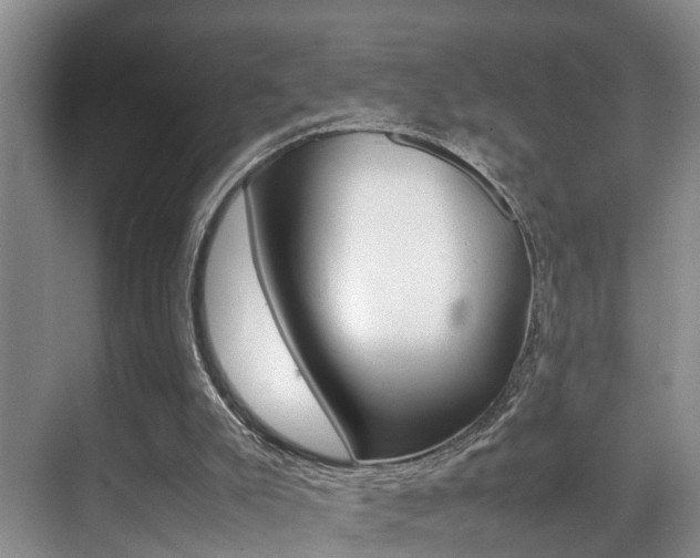 X0000070410007200606091007