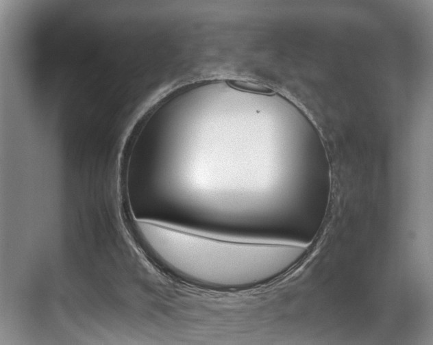 X0000070410008200606091007