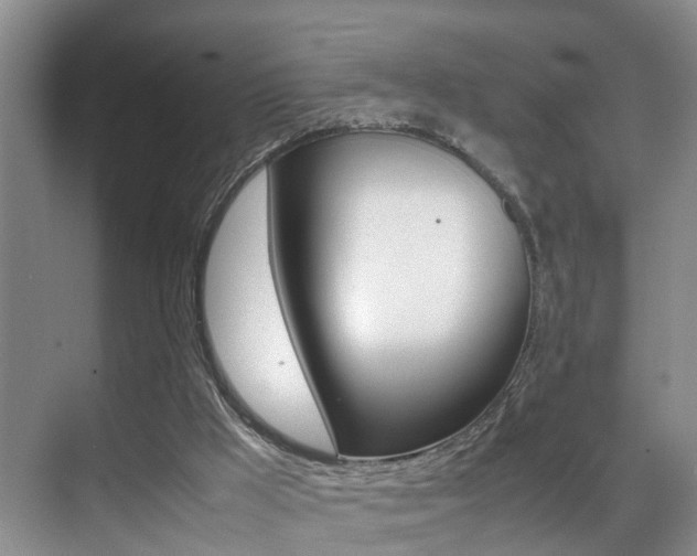 X0000070410009200606091007