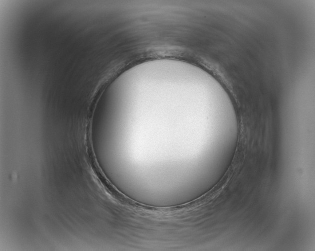 X0000070410010200606091007