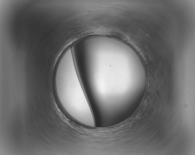 X0000070410011200606091007