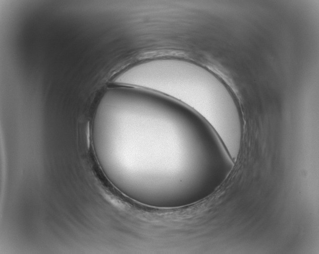 X0000070410013200606091007