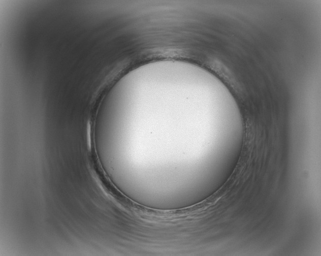 X0000070410014200606091007