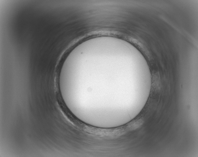 X0000070410016200606091007