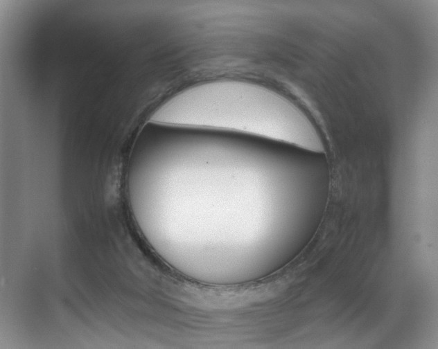 X0000070410018200606091007