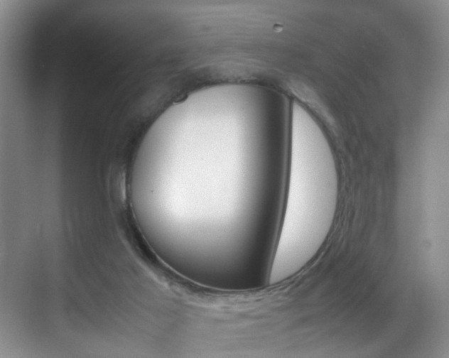 X0000070410021200606091007