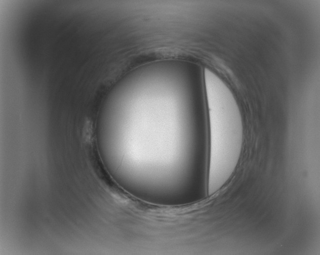 X0000070410025200606091007