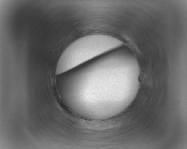 X0000070410026200606091007