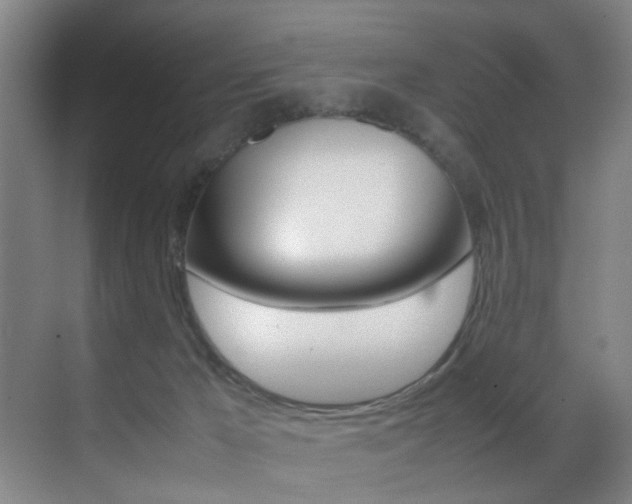 X0000070410029200606091007