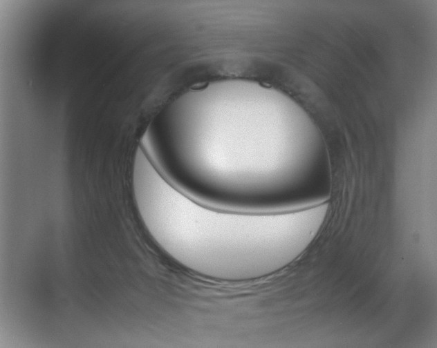 X0000070410031200606091007