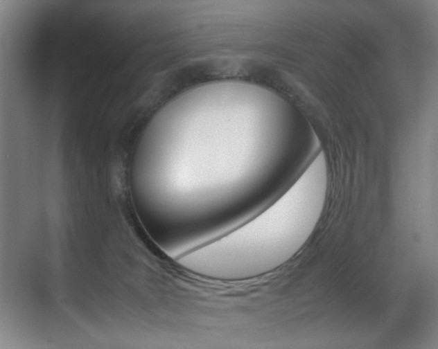 X0000070410035200606091007