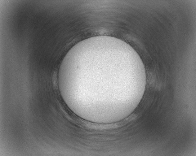 X0000070410036200606091007