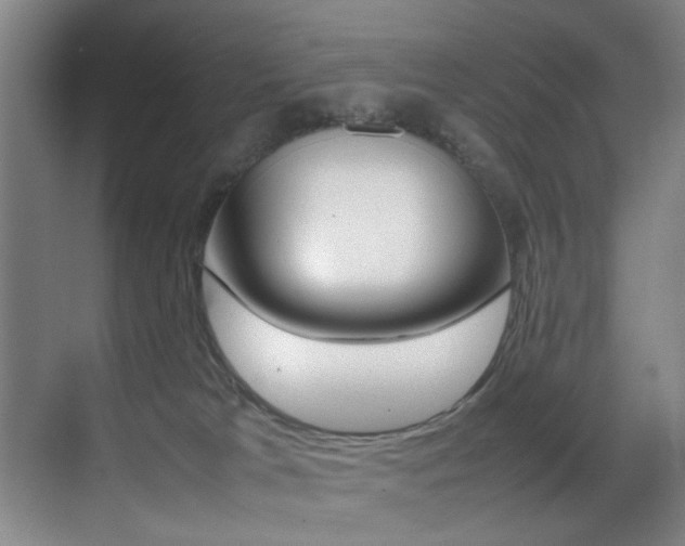 X0000070410037200606091007