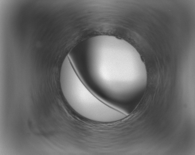 X0000070410040200606091007