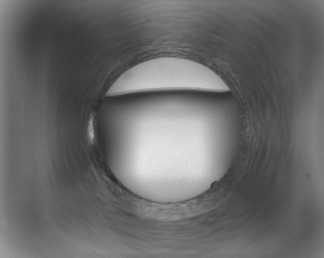 X0000070410042200606091007