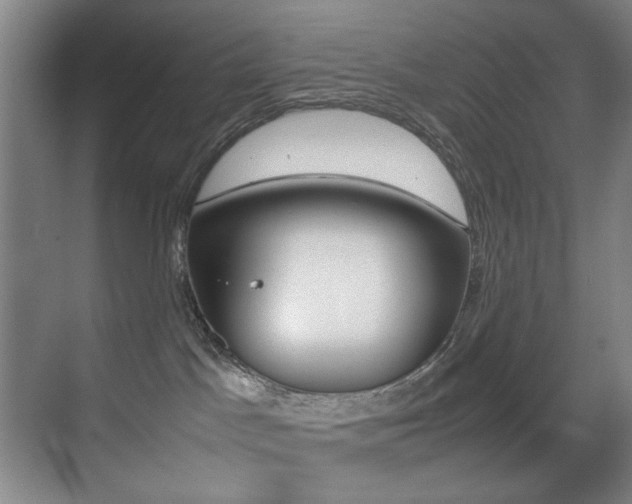 X0000070410045200606091007