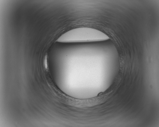 X0000070410046200606091007