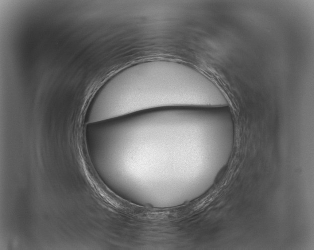 X0000070410049200606091006