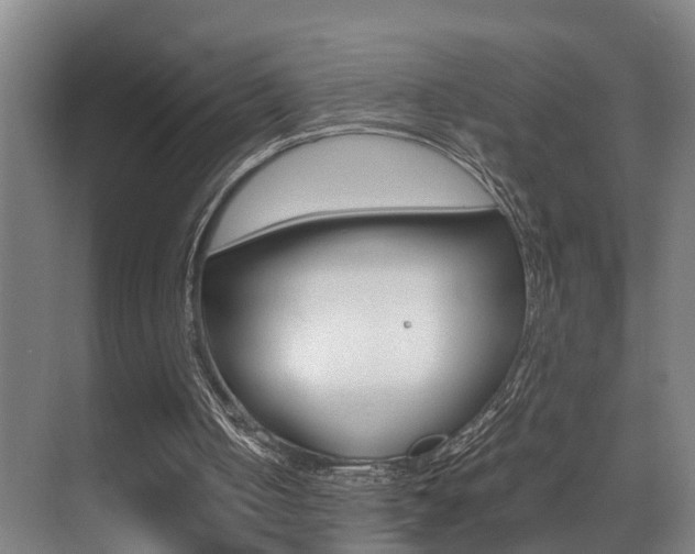 X0000070410050200606091006