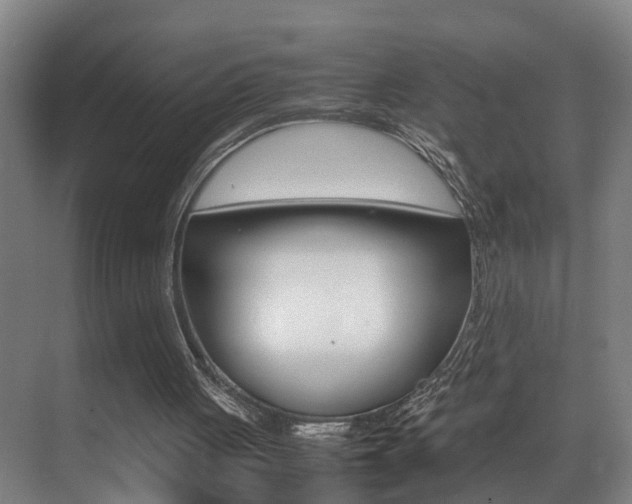 X0000070410051200606091006