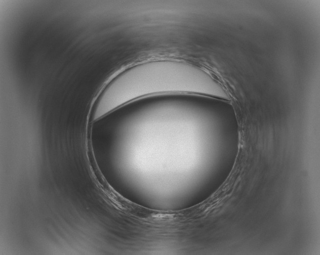 X0000070410052200606091006