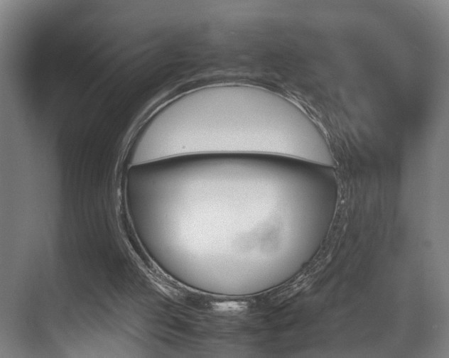 X0000070410053200606091006