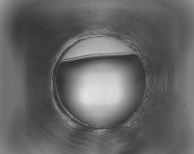 X0000070410054200606091006