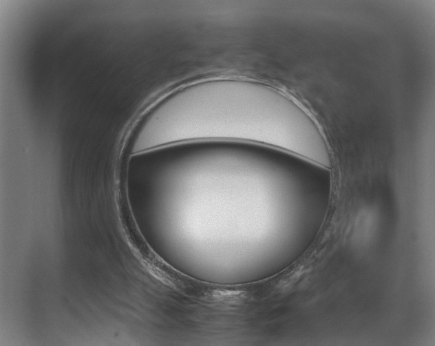 X0000070410055200606091006