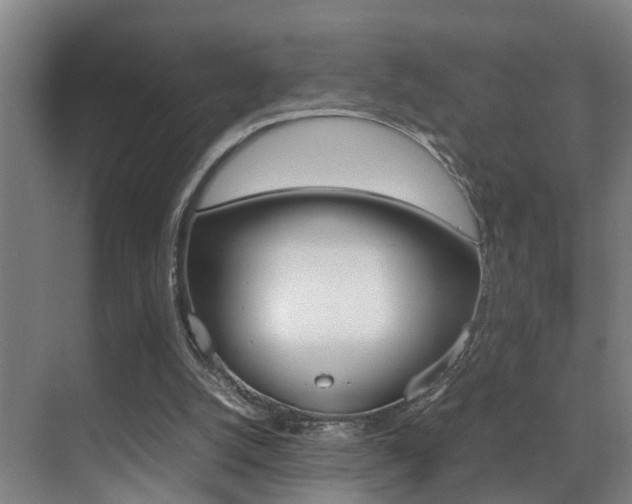 X0000070410056200606091006