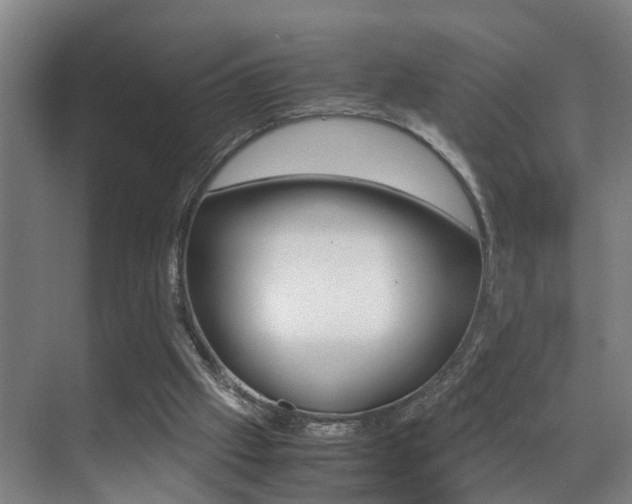 X0000070410057200606091006