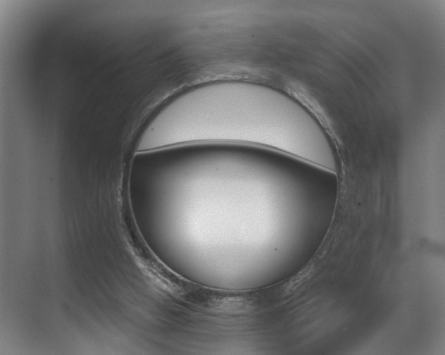 X0000070410058200606091006