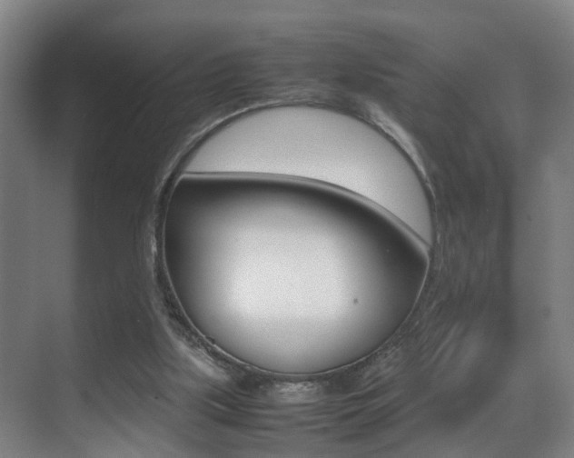 X0000070410059200606091006