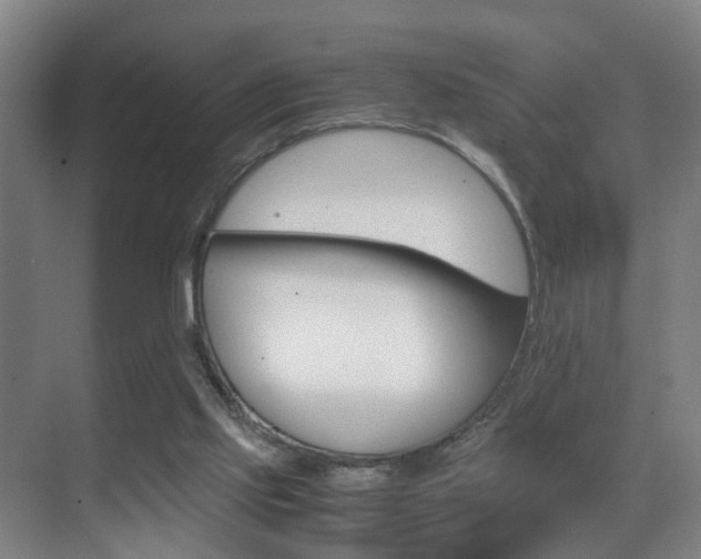 X0000070410061200606091006