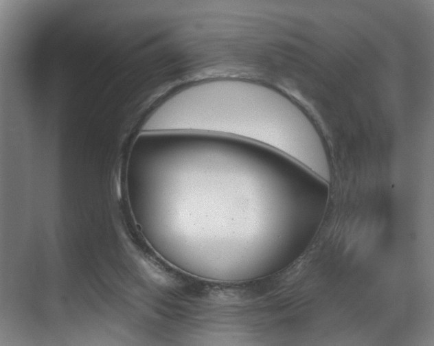 X0000070410062200606091006