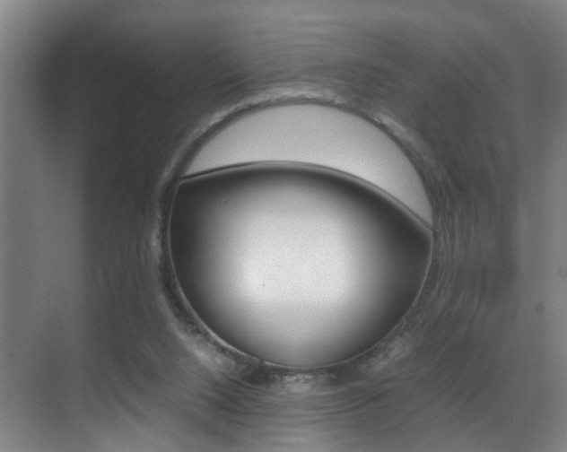 X0000070410064200606091006