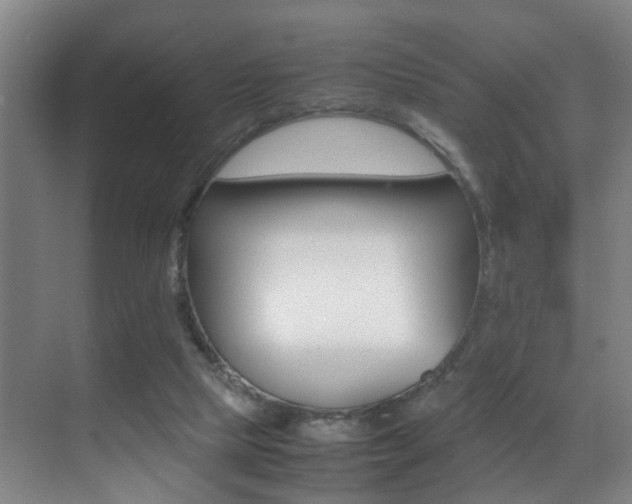 X0000070410065200606091006