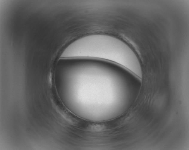 X0000070410067200606091006