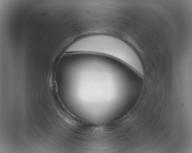 X0000070410068200606091006