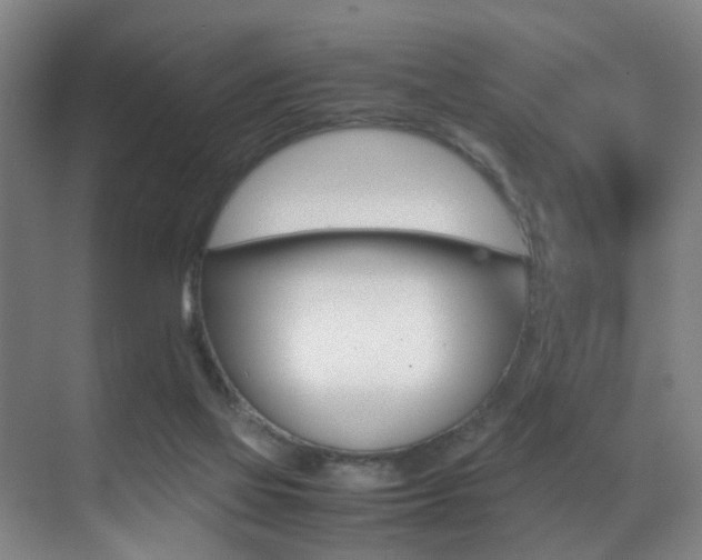 X0000070410069200606091006