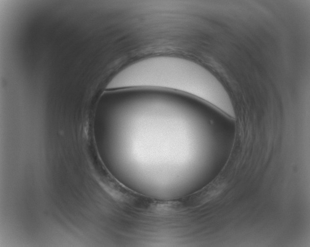 X0000070410072200606091006