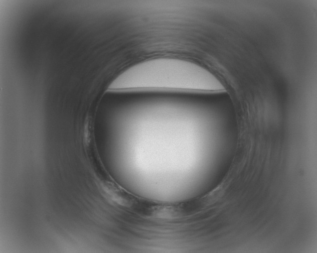 X0000070410074200606091006