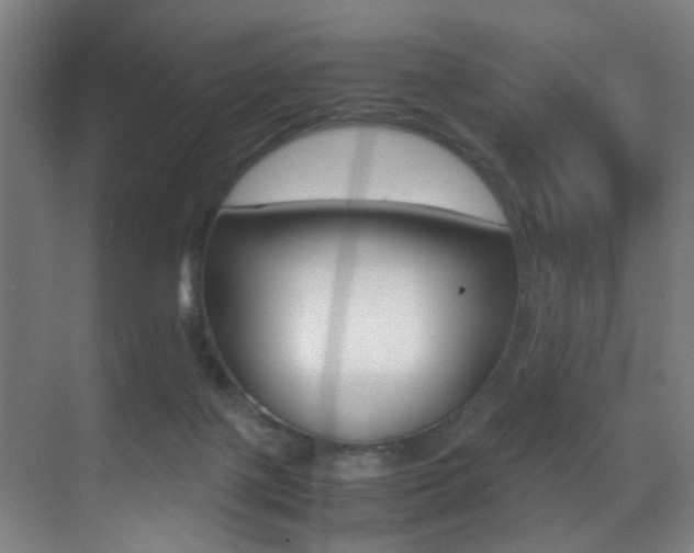 X0000070410075200606091006