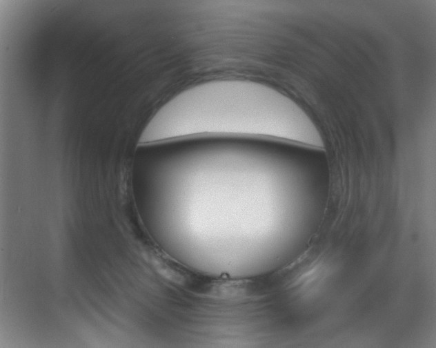 X0000070410078200606091006