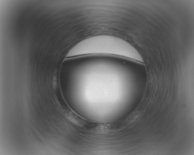 X0000070410080200606091006