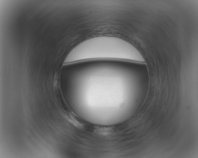 X0000070410081200606091006